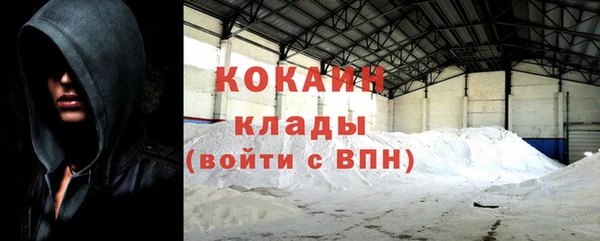 прущие грибы Арсеньев