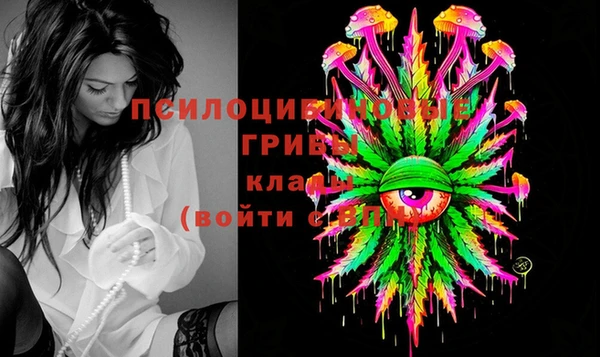 spice Аркадак