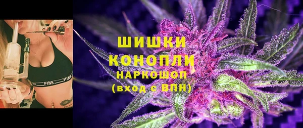 spice Аркадак