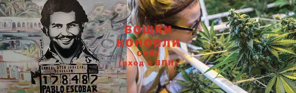 прущие грибы Арсеньев