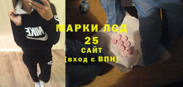 spice Аркадак