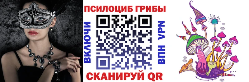 где найти наркотики Бокситогорск Галлюциногенные грибы Psilocybine cubensis